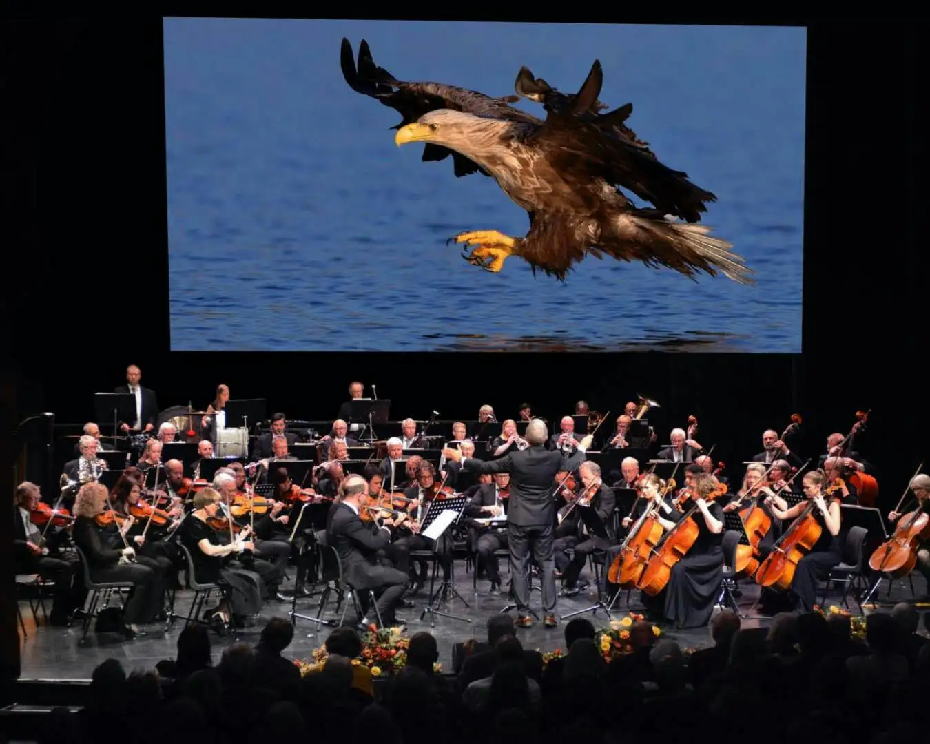 Naturens Symfoni / Romerike Symfoniorkester - Kjøp