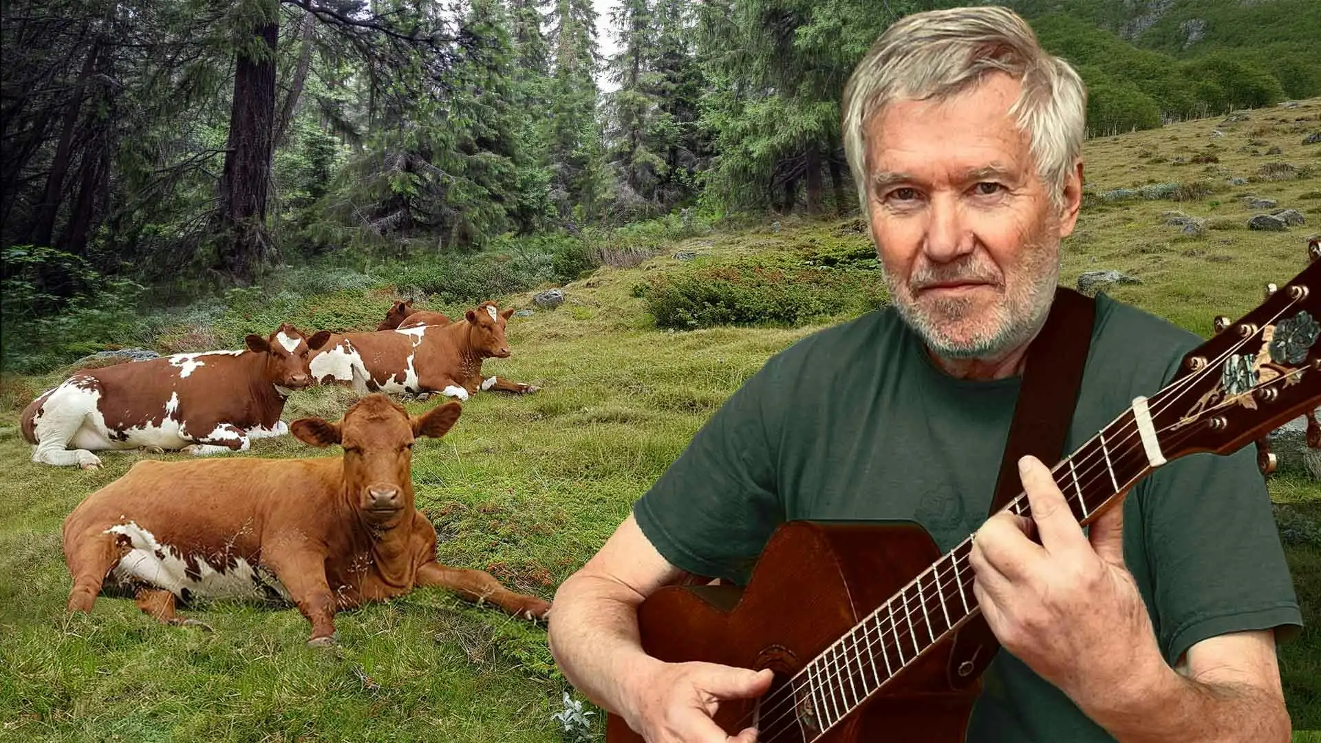 Jon Haaland og orkester – Fra Kulokk til bjelleklang - Kjøp